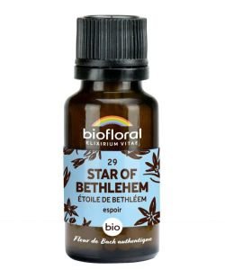 Etoile de Bethléem - Star of Bethlehem (n°29), granules sans alcool